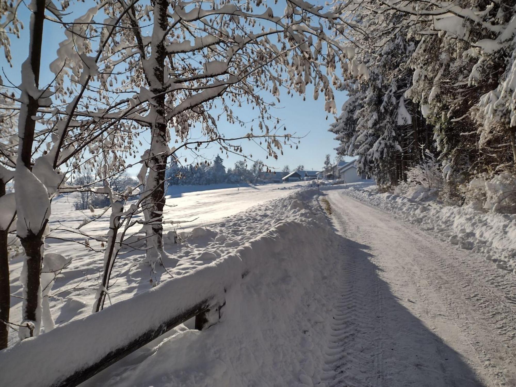 Cosy Holiday Home With Sauna In The Allg U Burggen Екстер'єр фото
